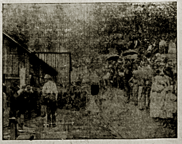 Knoxville Sentinel, May 21, 1902